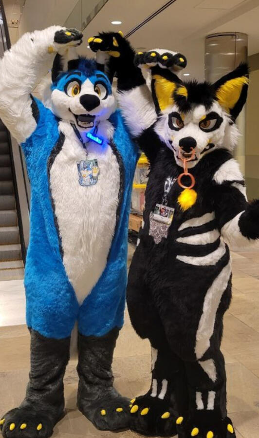 "life's short, be furry"