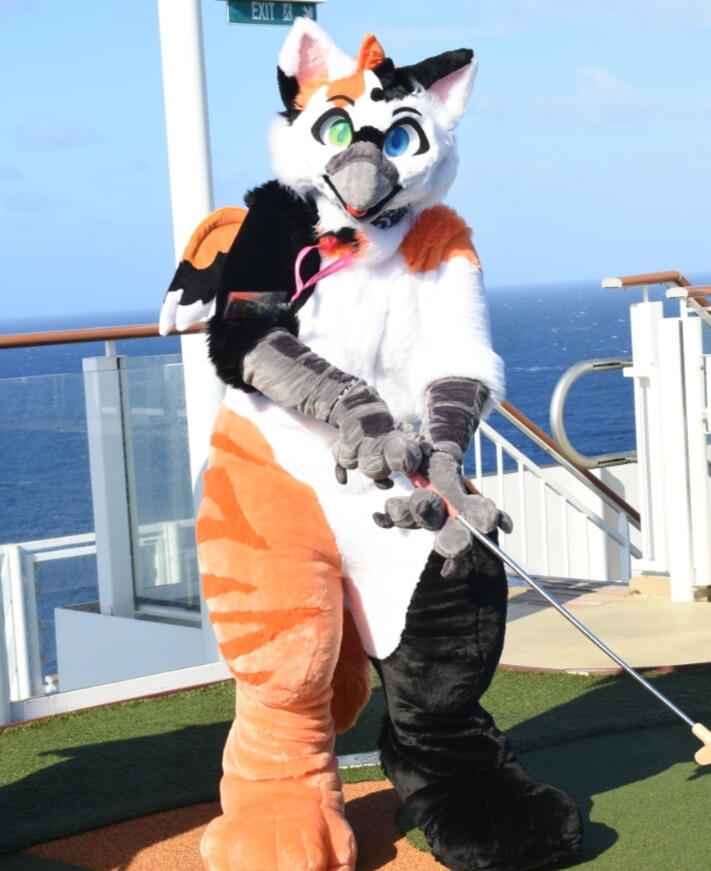 Adventure awaits!