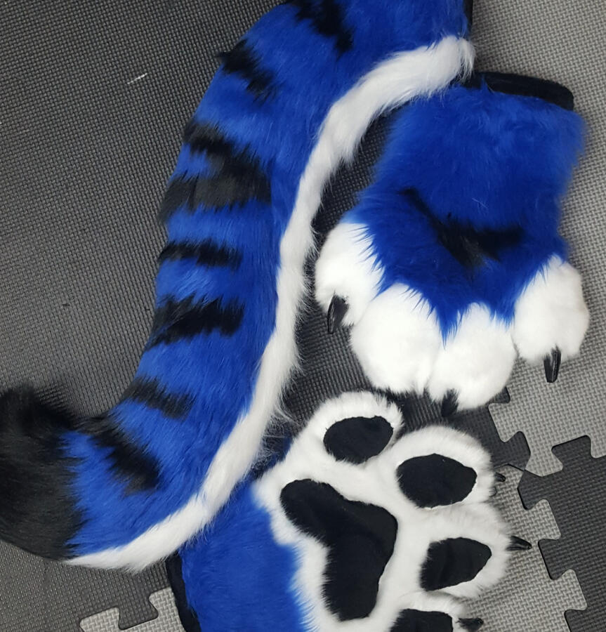 paws and a tail for a client
